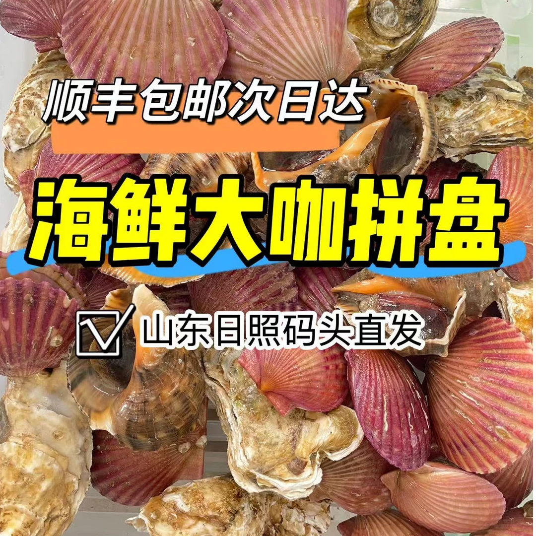 顺丰包邮次日达 日照网红海鲜大咖 贝类拼盘4斤装 海螺1斤4/5只/大扇贝1斤/生蚝2斤