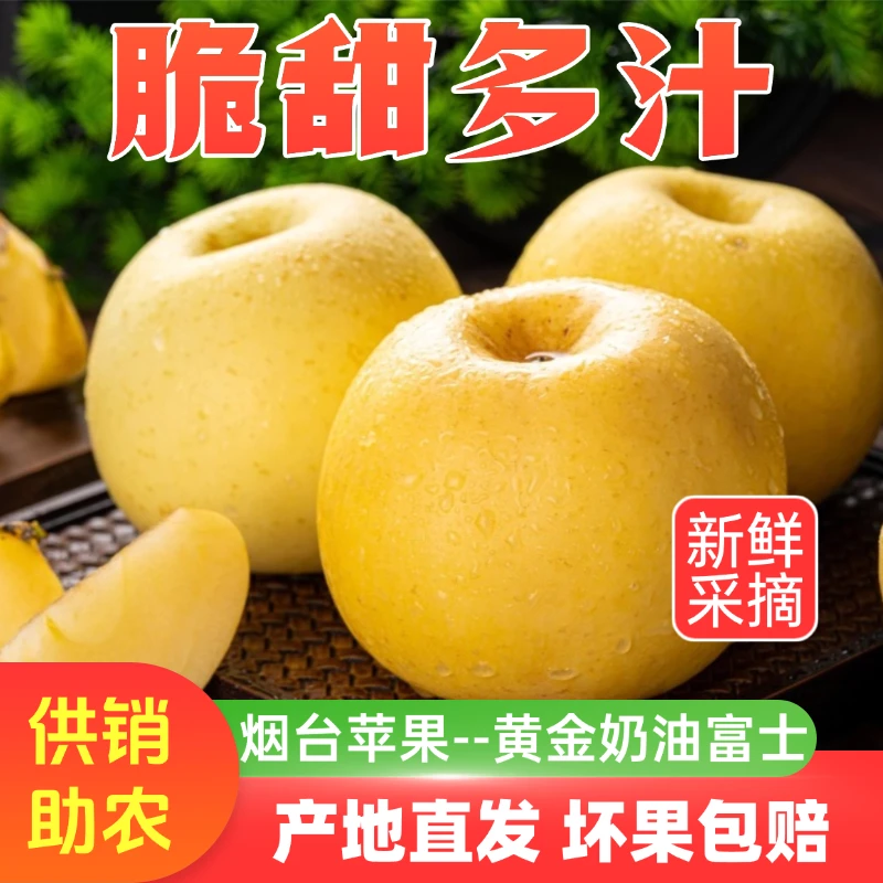 【供销助农】奶油富士烟台苹果黄金脆甜多汁冰糖心山东新鲜水果产地
