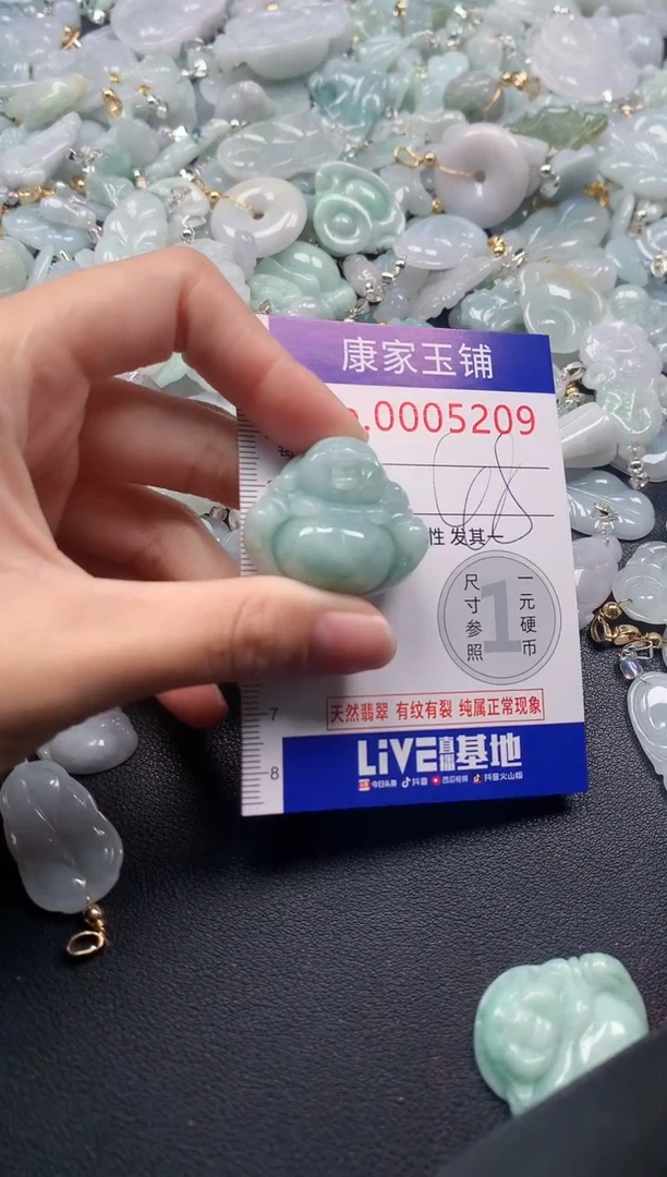 颈饰未镶嵌翡翠5209
