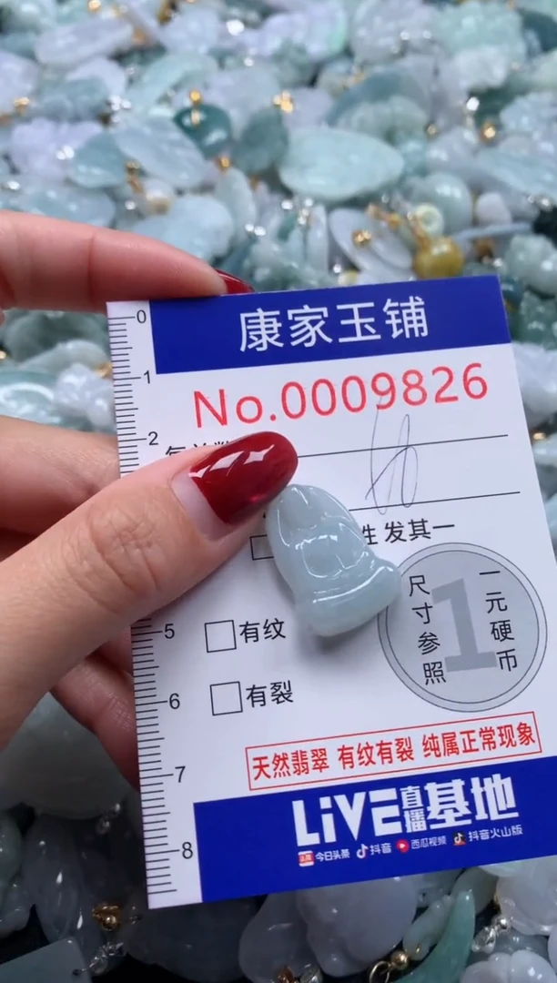 颈饰未镶嵌翡翠9826