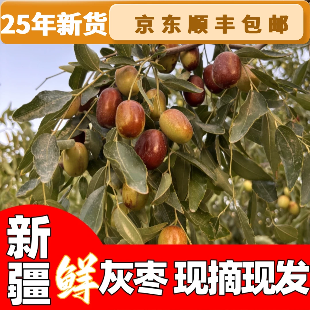 【顺丰京东包邮现摘现发新鲜水果】新疆鲜灰枣新鲜采摘核小脆甜可口