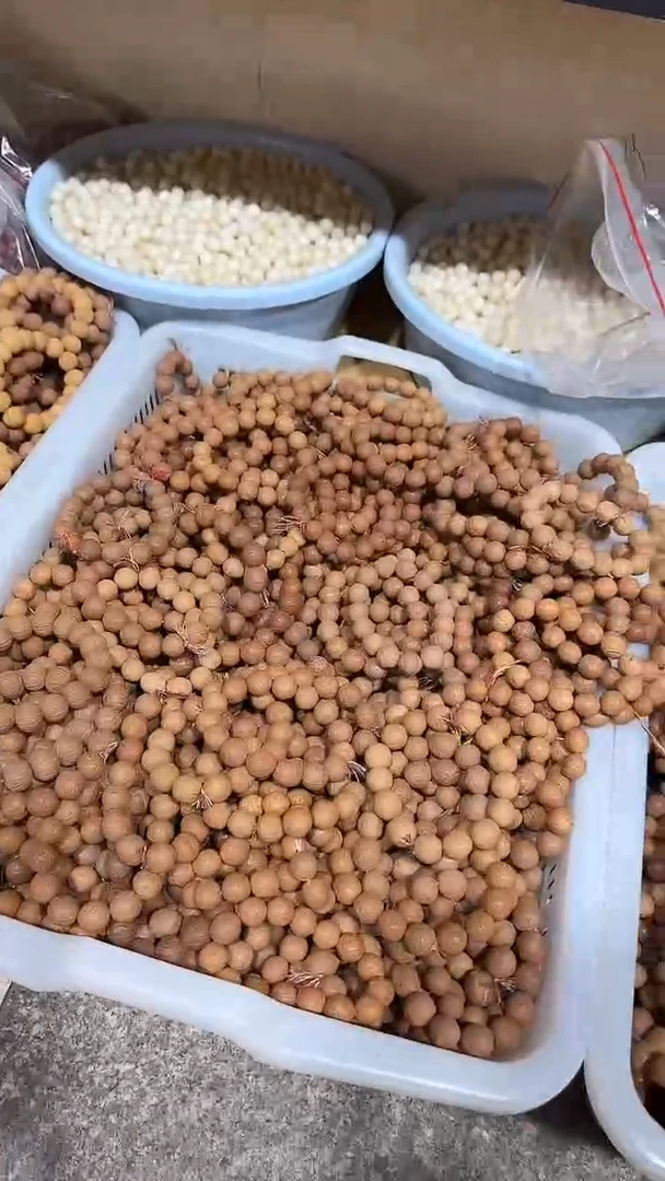 菩提根/象牙果手串凤眼菩提圆珠单圈福利款