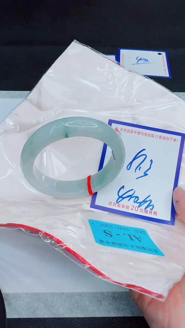 未镶嵌手镯翡翠11111111