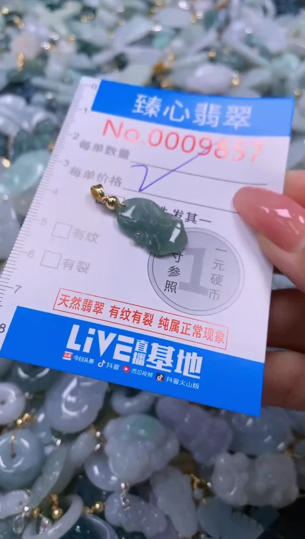 翡翠未镶嵌颈饰9857