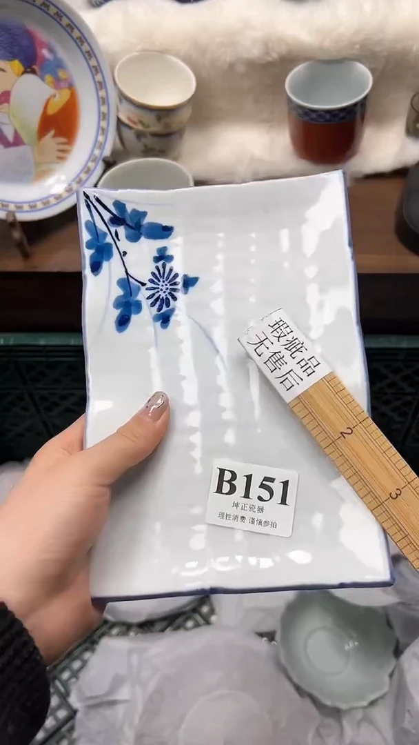 【闪购商品】瓷片          B151