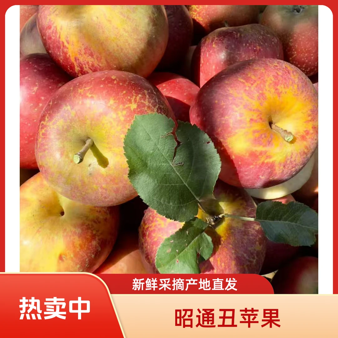 云南昭通丑苹果冰糖心脆甜多汁新鲜现摘产地直发