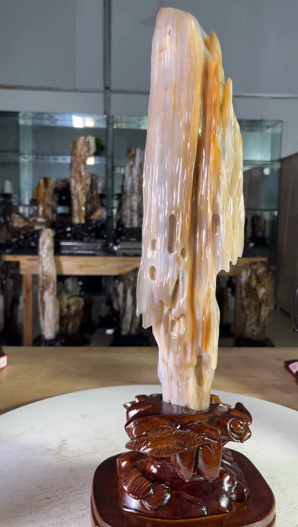 【闪购商品】硅化玉珠宝奇石未镶嵌1