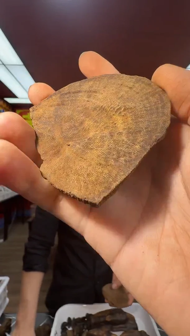 沉香沉香香囊y62海南多样性发一