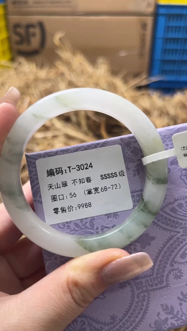 未镶嵌手镯石英质玉T-3024