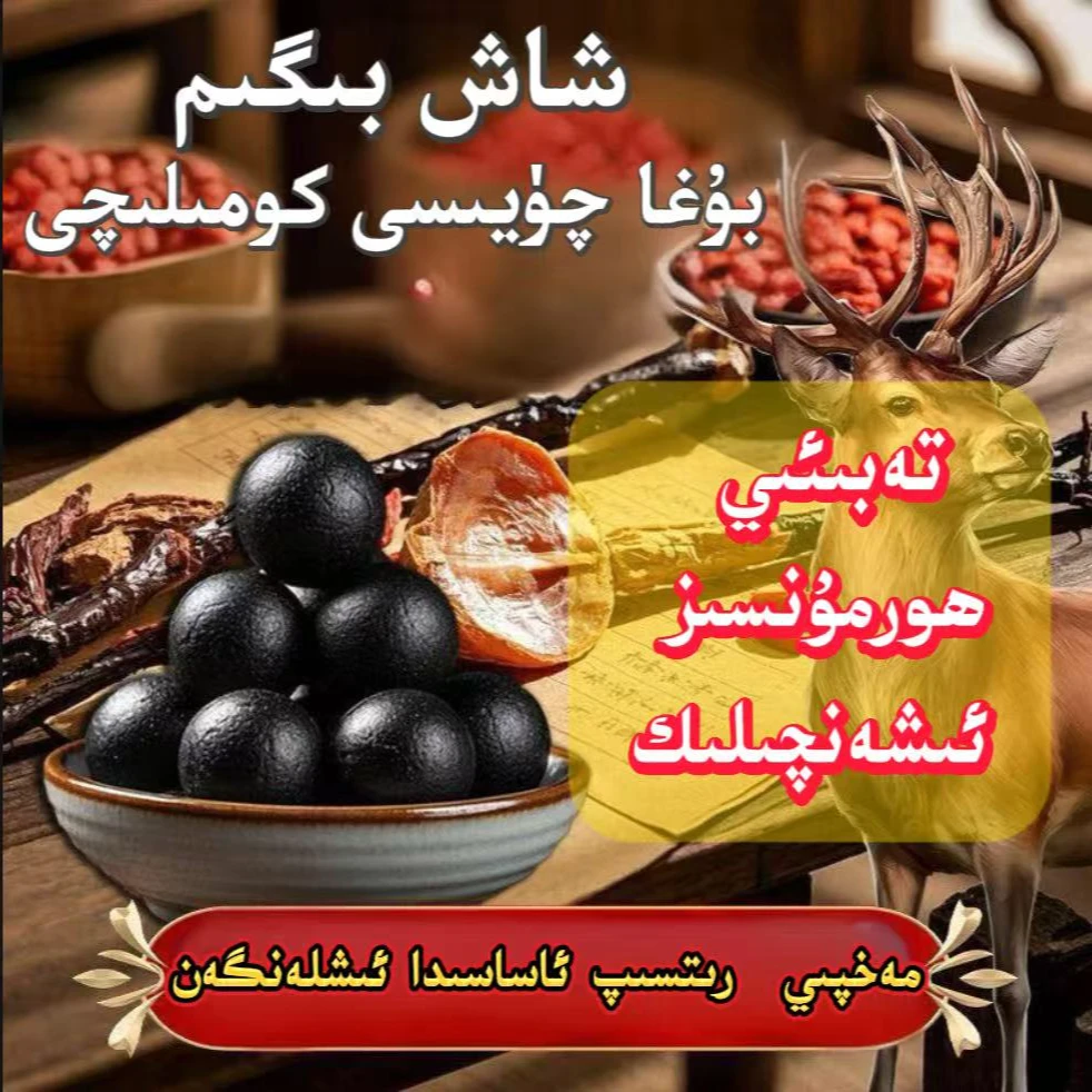 【P】2025年 XAX BEGEM牡蛎丸