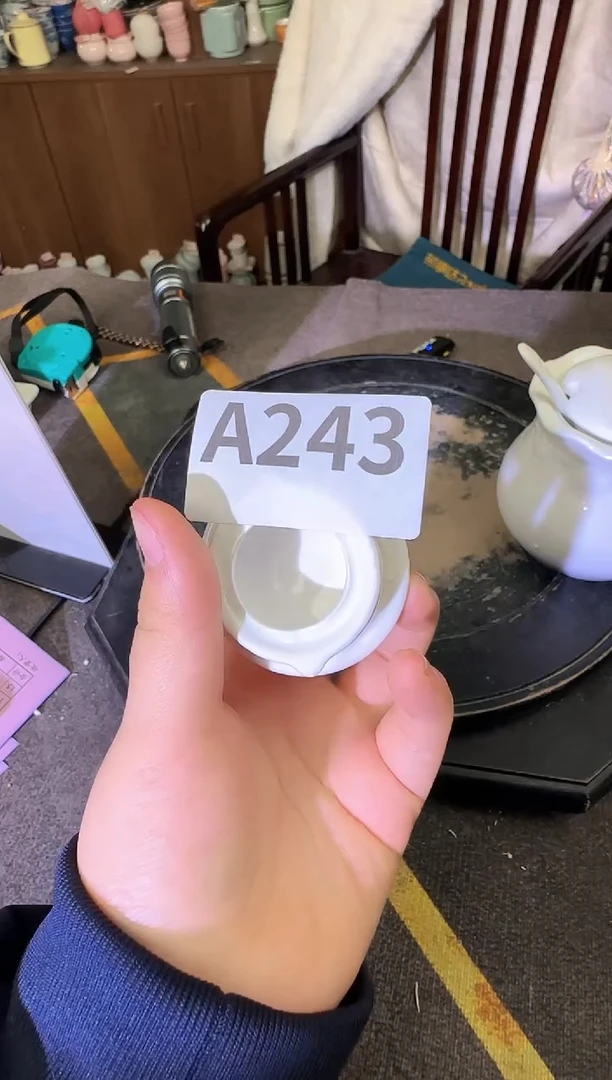 其他用****2A243景德镇制陶瓷一件