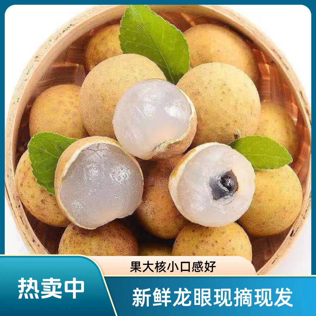 新鲜桂圆龙眼约500g现摘老树果草埔石硖储良甜蜜多汁当季脆甜