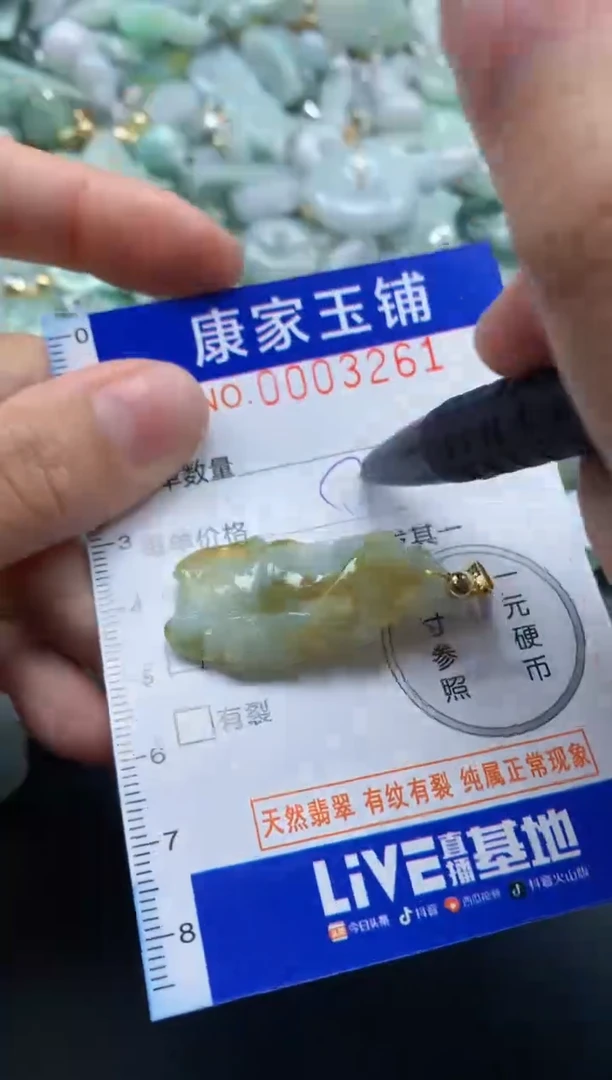 颈饰未镶嵌翡翠3261