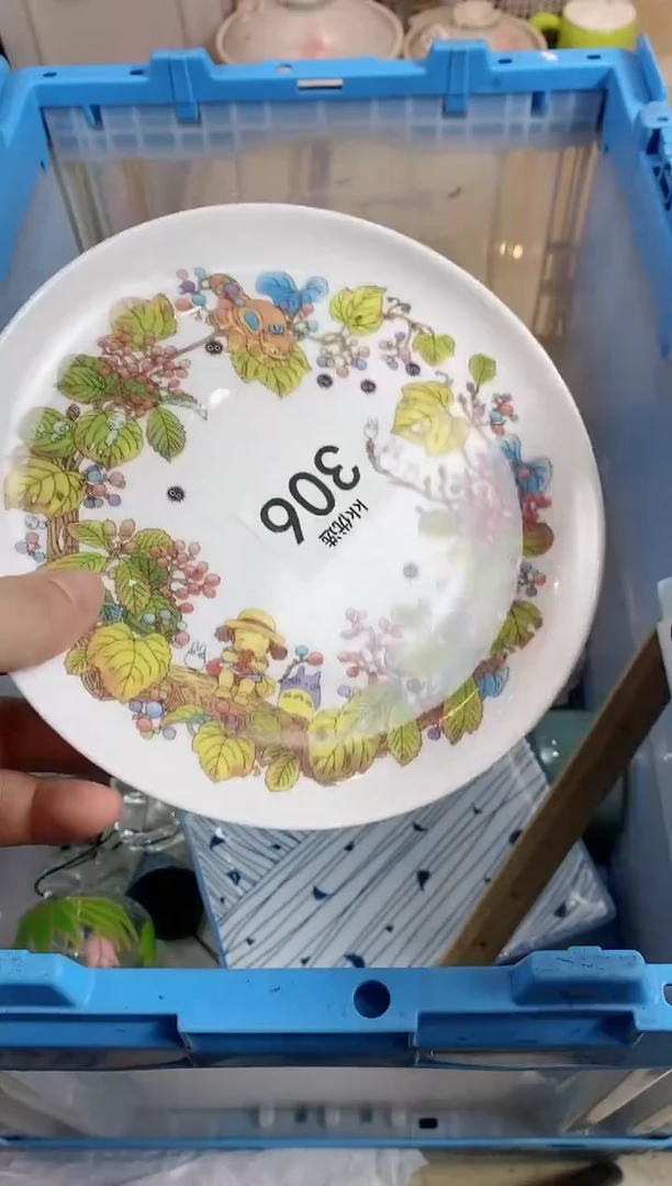 【闪购商品】瓷片306定向 大不晴朗定向 大不晴朗