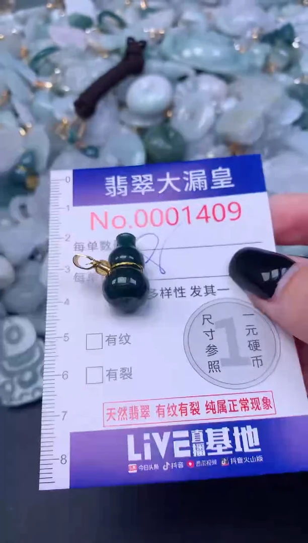 颈饰未镶嵌翡翠1049