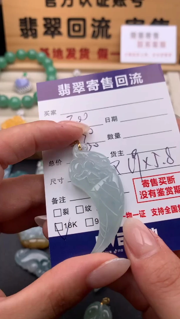 翡翠18K金镶嵌颈饰10134110