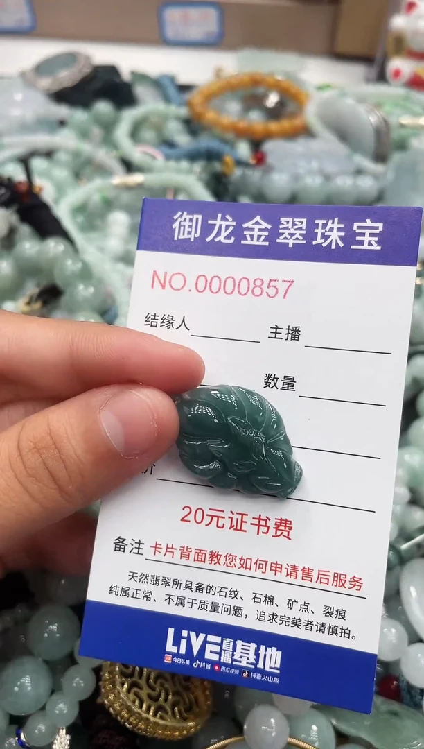 翡翠未镶嵌颈饰055