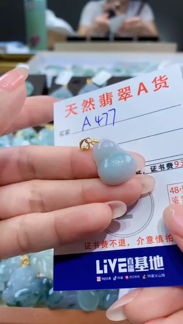 颈饰未镶嵌翡翠天然翡翠A货挂件