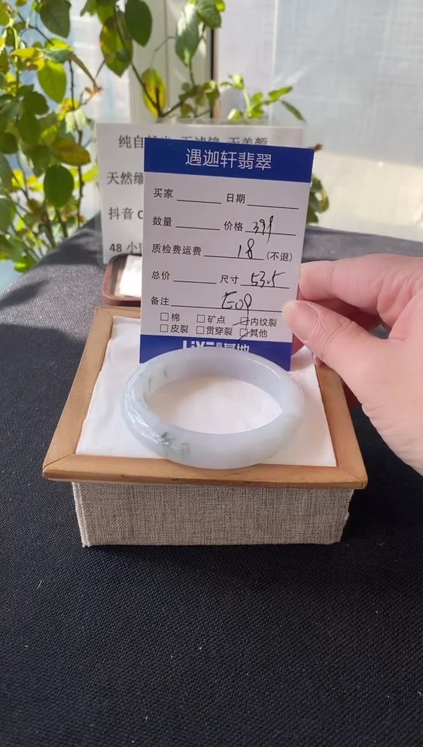未镶嵌手镯翡翠53.5圈口 E09编码