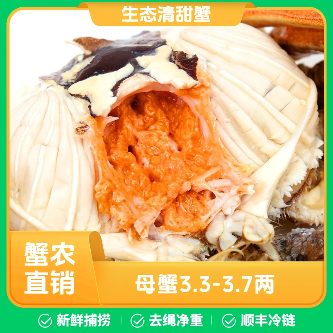 【活蟹】蟹大力生态江苏蟹3两3-3两7全母8只装10只装 现捕现发 顺丰