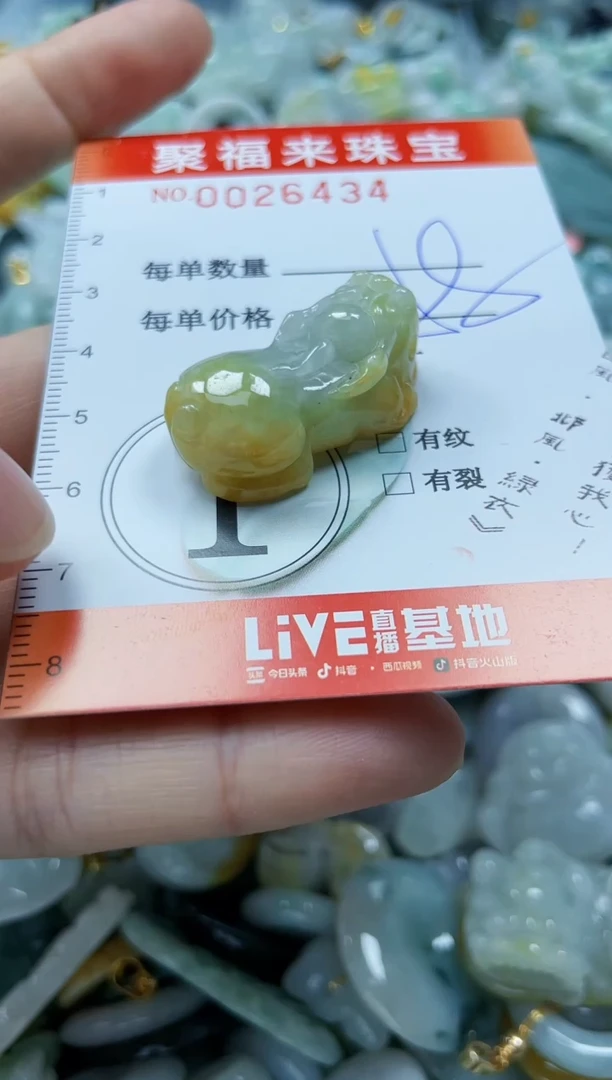 【闪购商品】翡翠颈饰未镶嵌闪购0026434