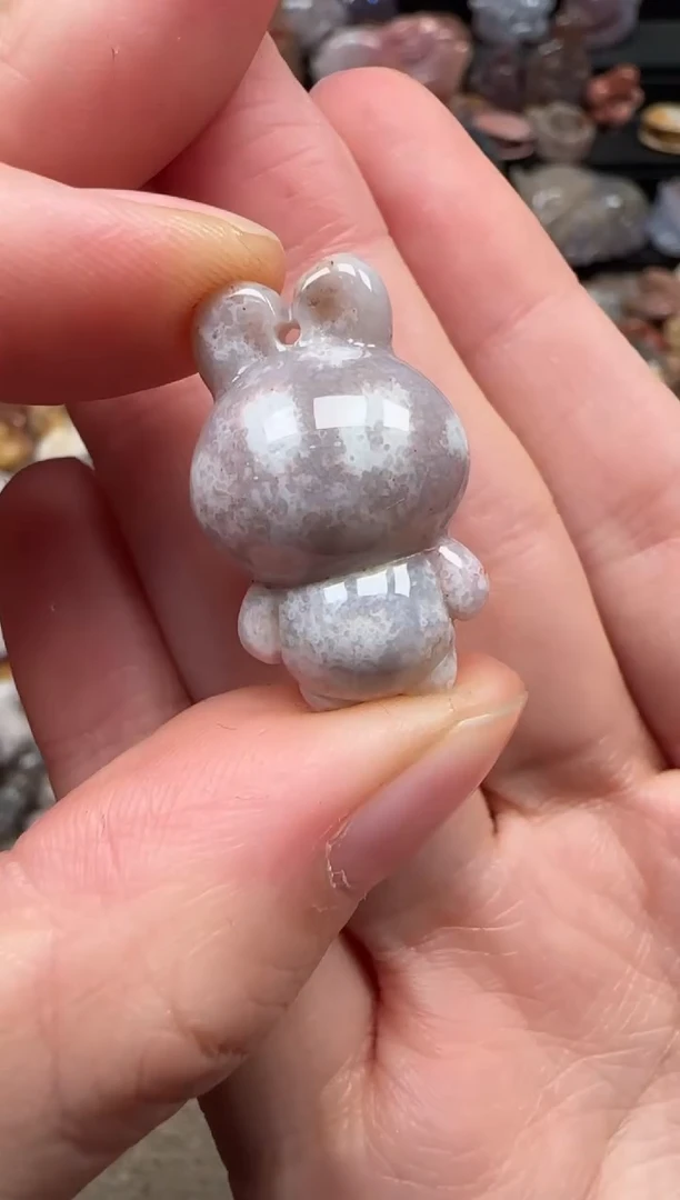 颈饰未镶嵌硅化珊瑚（珊瑚玉）673