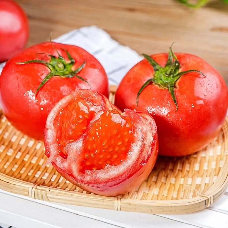 正宗陕西泾阳普罗旺斯西红柿新鲜当季现摘孕妇水果自然多汁番茄