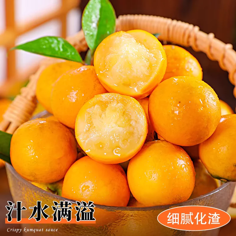 【新品上市】广西脆蜜金桔皮薄肉厚纯甜无酸涩当季水果