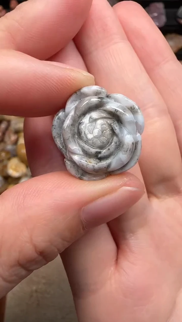 硅化珊瑚（珊瑚玉）未镶嵌颈饰459