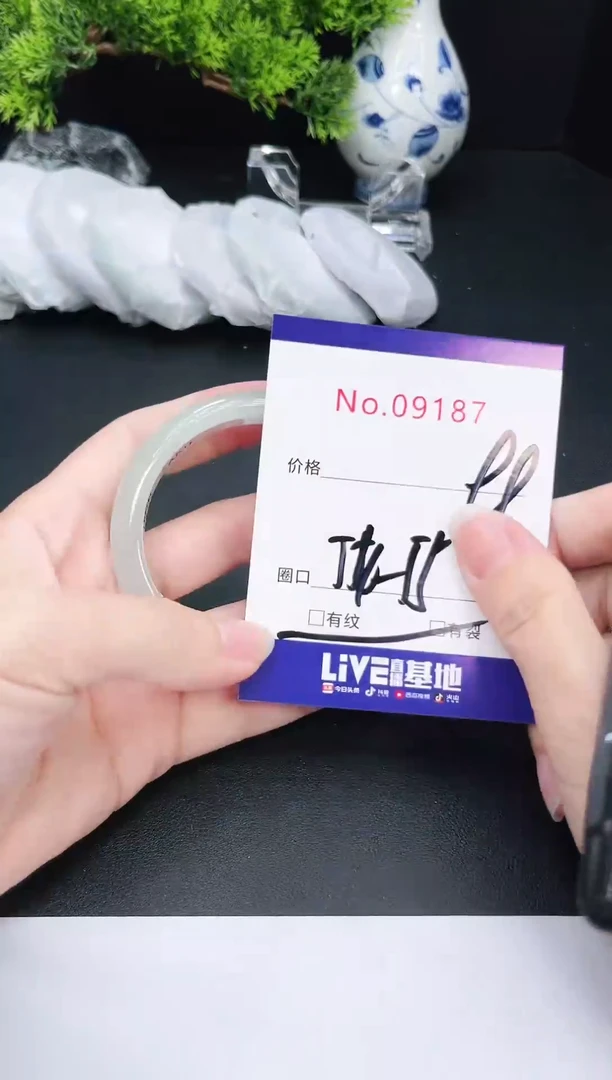 未镶嵌手镯翡翠9187