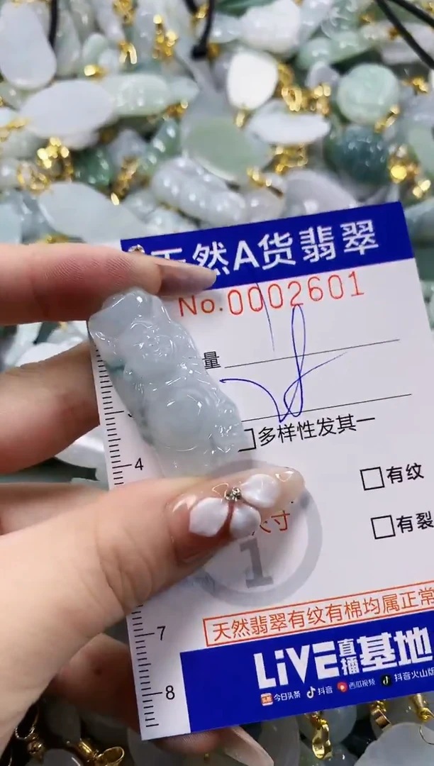 颈饰未镶嵌翡翠天然A货翡翠