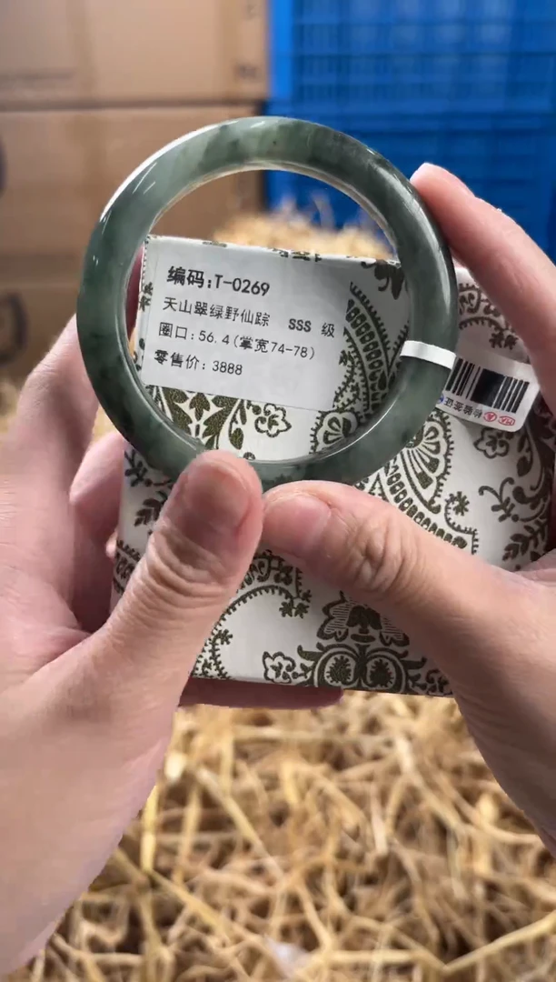 未镶嵌手镯石英质玉T-0269