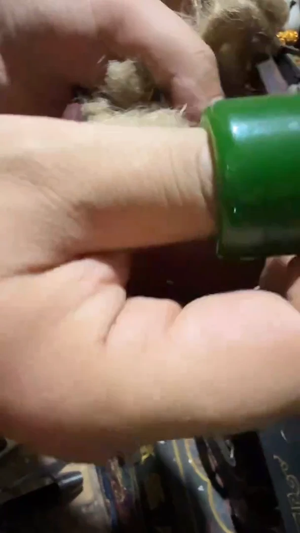 木闪电购链接精品摆件半只