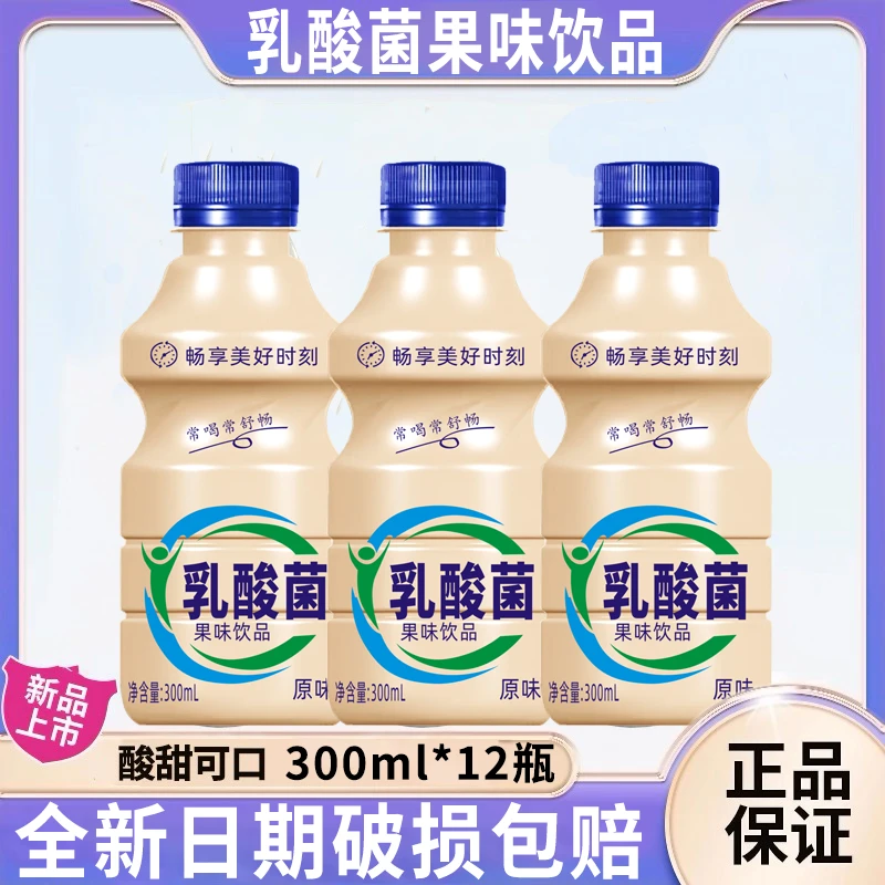 新日期厂家批发乳酸菌风味饮料300ml*12瓶营养早餐酸奶整箱批发