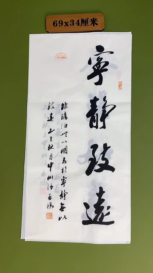 书法书法 张若鸿 尺寸69cm*34cm