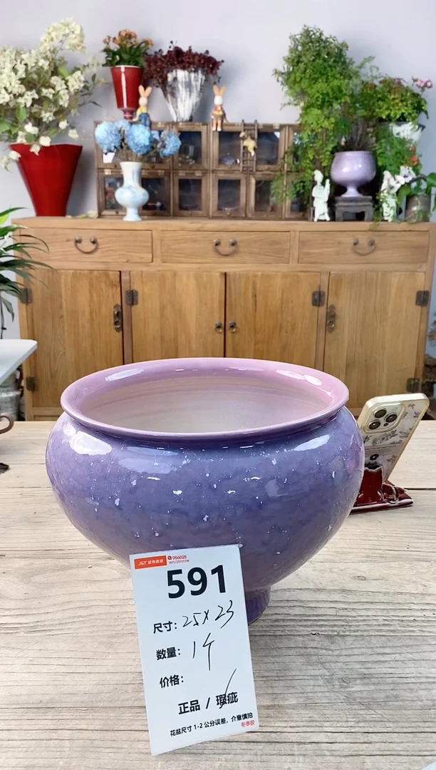 小玩子花盆直播号591