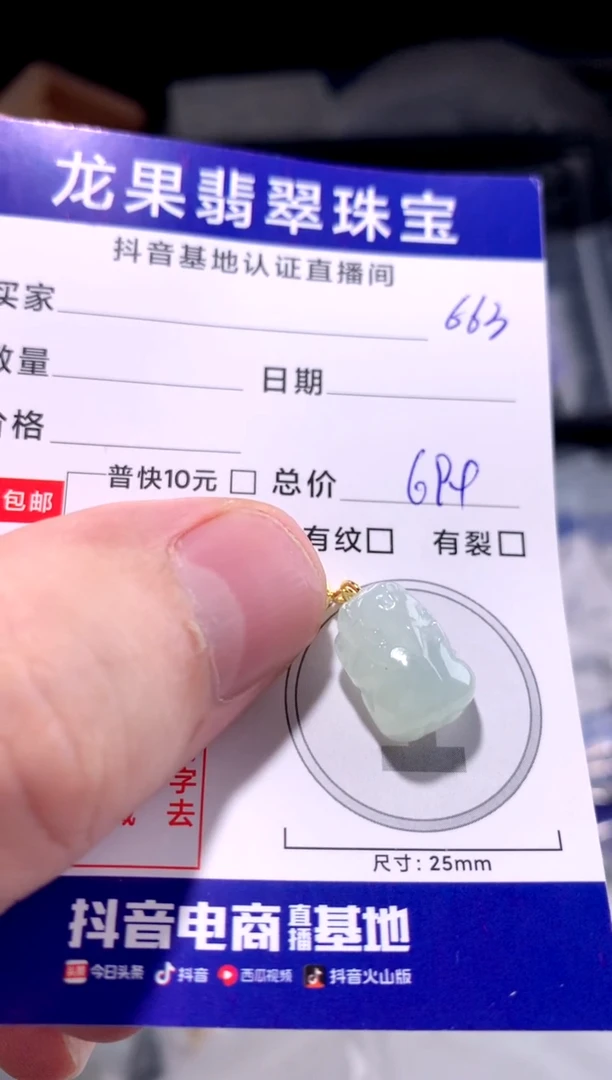 颈饰未镶嵌翡翠冰胶貔貅663