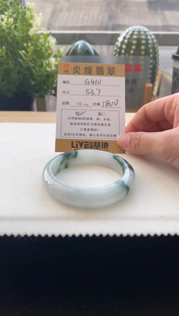 未镶嵌手镯翡翠53.7圈口编码G410