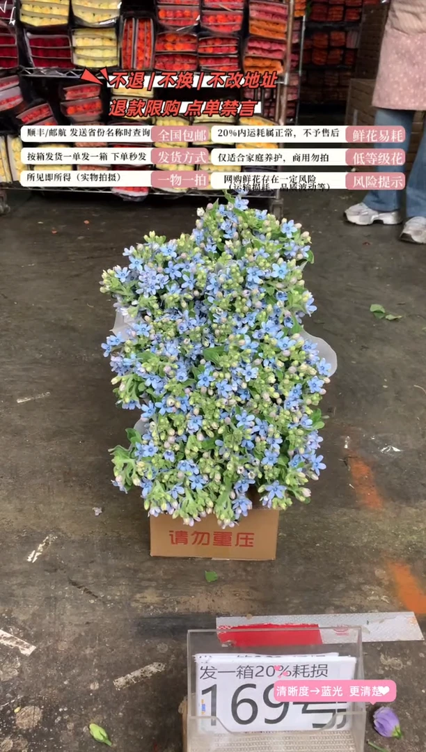 169/8号♥含20%耗损发一箱