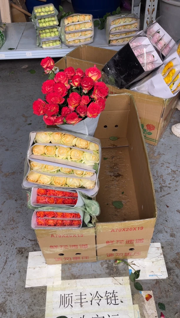 火灵鸟20枝+香槟20枝+单头爱丽丝20枝