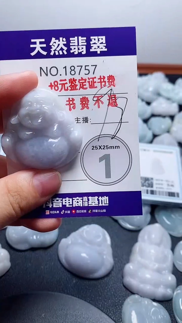翡翠未镶嵌颈饰757