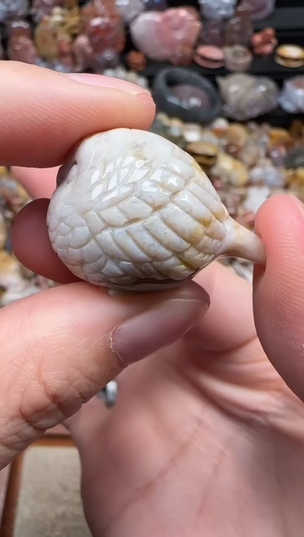 颈饰未镶嵌硅化珊瑚（珊瑚玉）028