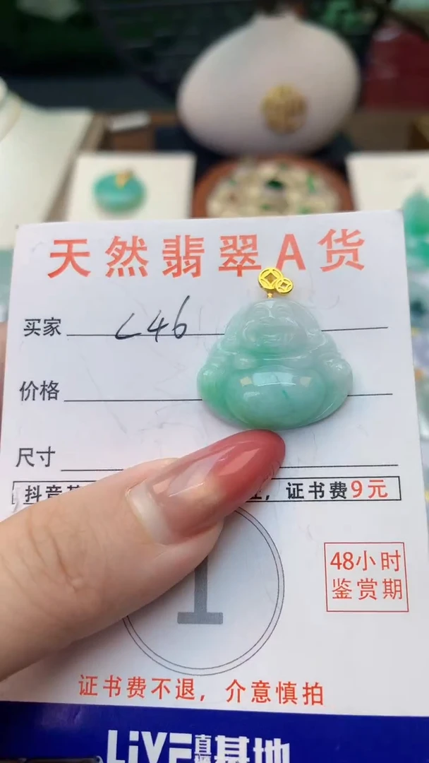 颈饰未镶嵌翡翠天然A货翡翠挂件