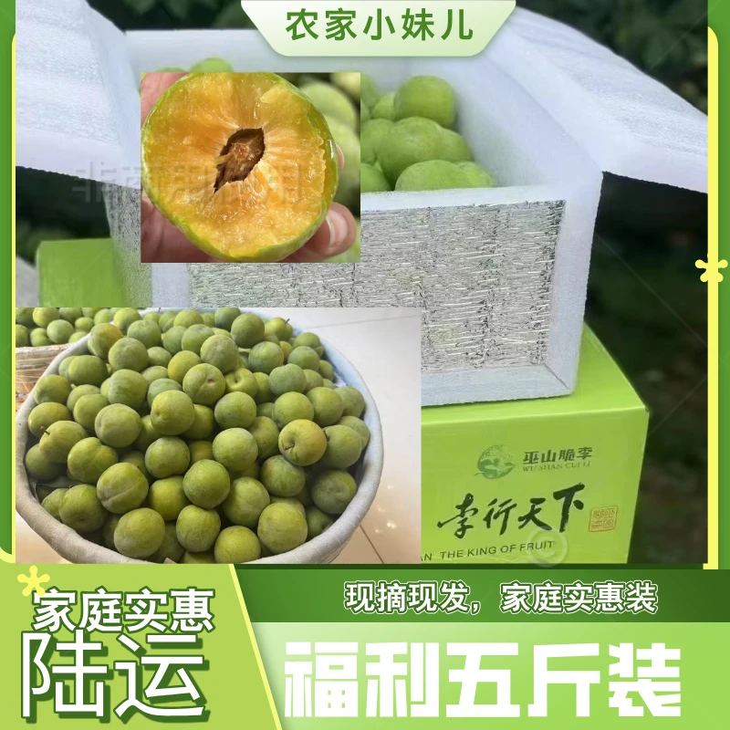 巫山脆李高山晚熟-甜脆李/脱骨李-家庭实惠五斤装【SF生鲜冷链】