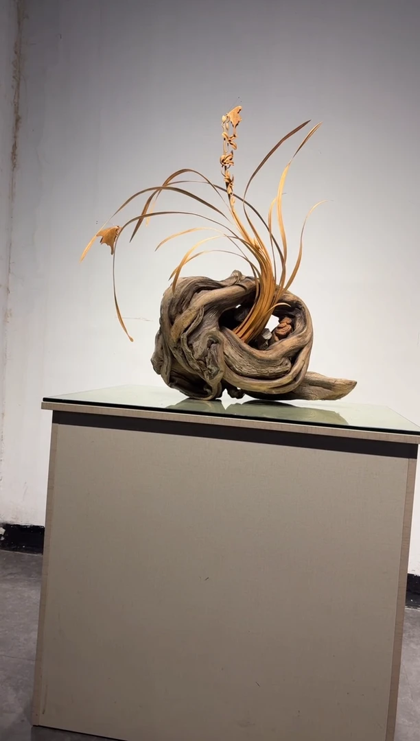 柏木（崖柏）海*崖柏崖柏兰花大件