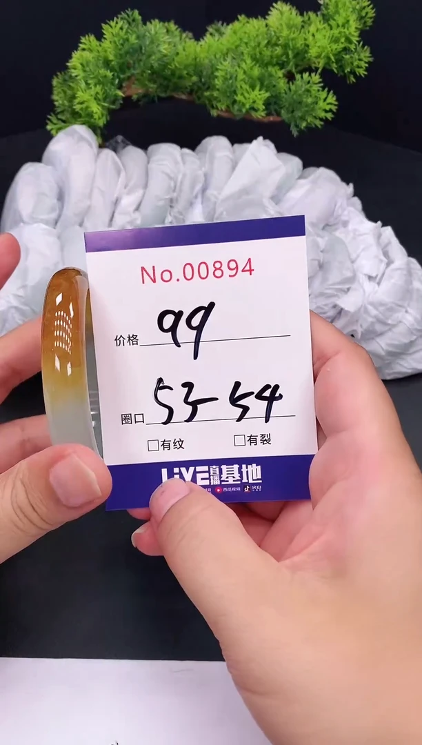 未镶嵌手镯翡翠0894