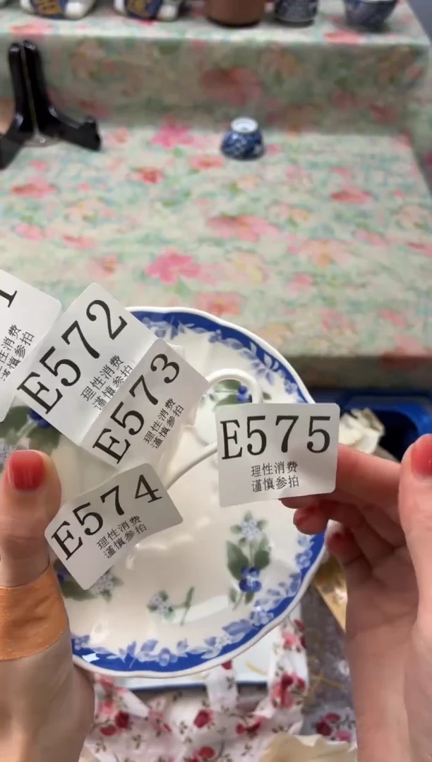 瓷片       E572