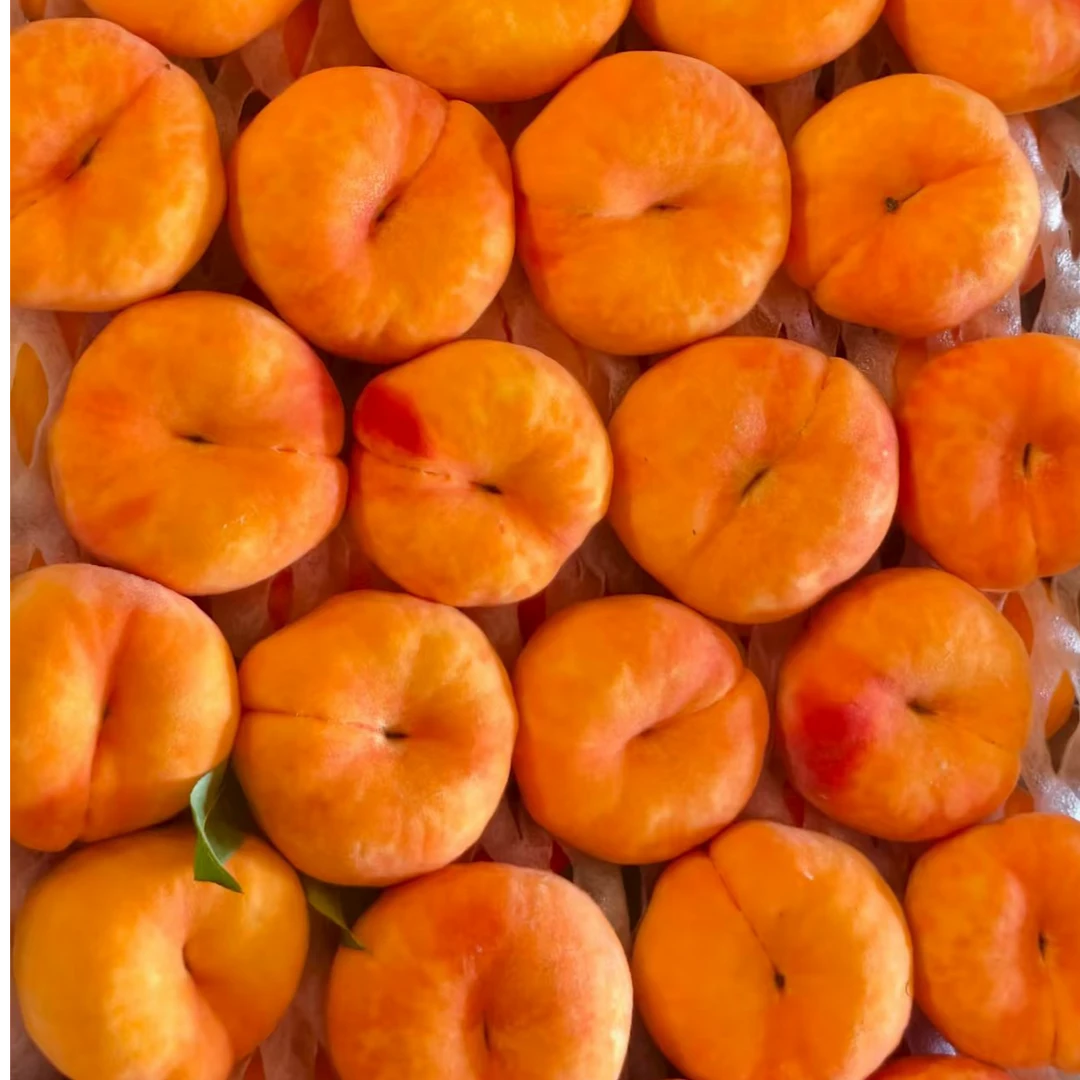 北京平谷黄毛蟠桃净重3斤左右