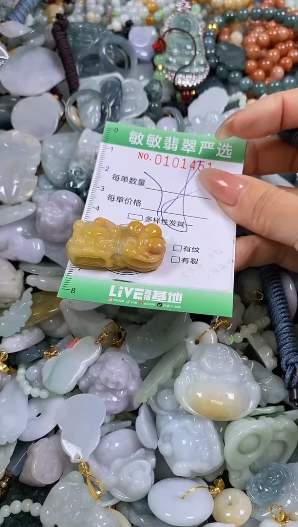 【闪购商品】翡翠颈饰未镶嵌闪购链接0101451