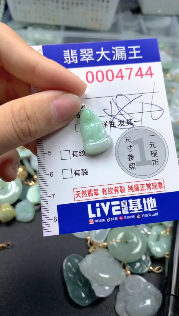 颈饰未镶嵌翡翠4744